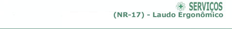 NR17 - Laudo Ergon�mico
